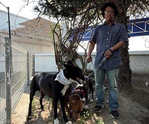 Deportado se queda atrapado en Tampico