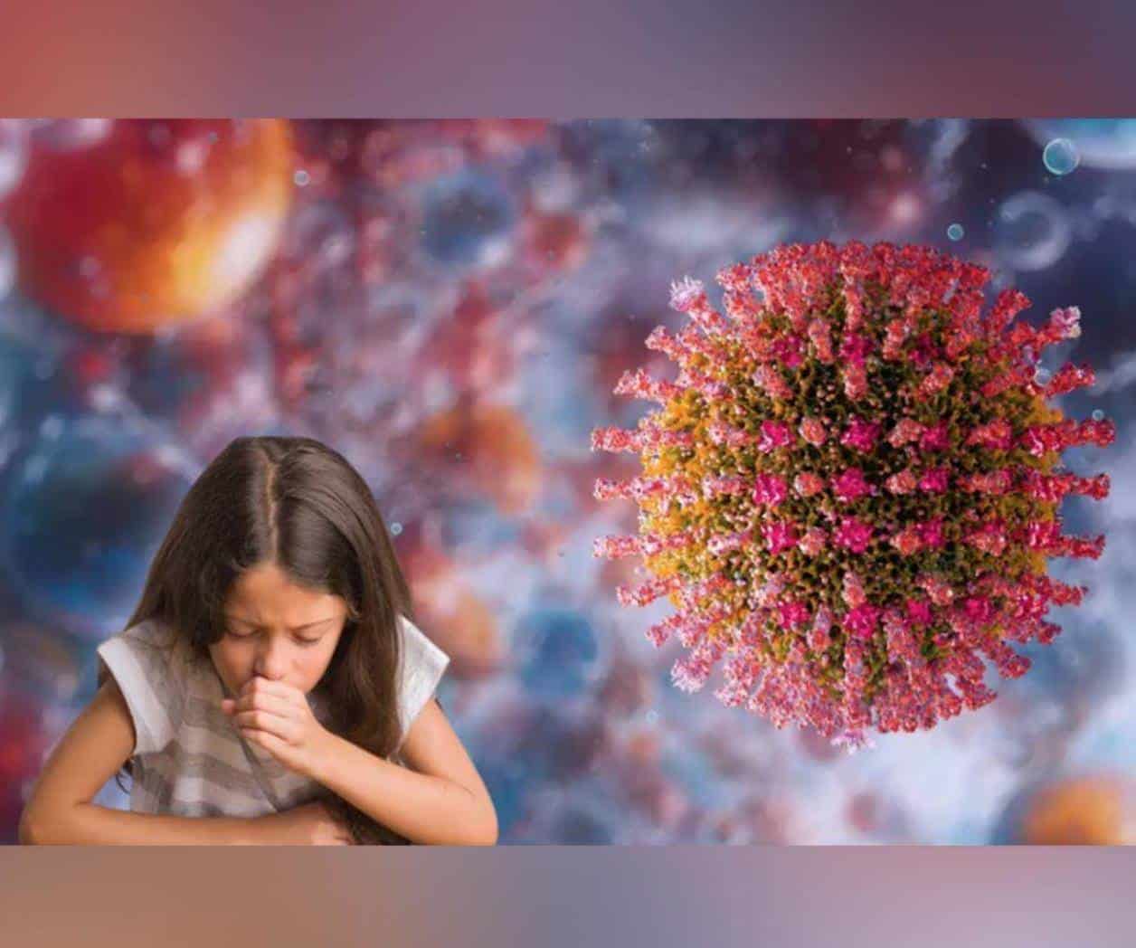 ¿Qué es el norovirus y cuáles son sus principales síntomas?