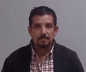 Arrestado por ejercer como veterinario sin licencia