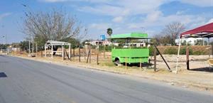 Continúa invasión en bordo del canal Rodhe