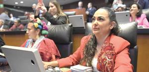 Empuja el Senado la ampliación del puente Hidalgo