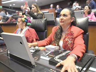 Empuja el Senado la ampliación del puente Hidalgo