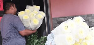 Listos floristas de Miguel Alemán