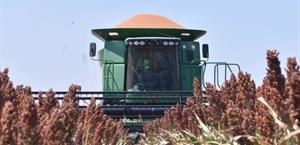 Golpea a agricultores sequía, bajos precios y falta de apoyo