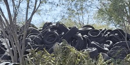 Vecinos temen brote de enfermedades por botadero de llantas