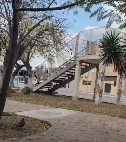 Era por seguridad, ahora es un p3ligr0, piden rehabilitación de puente.