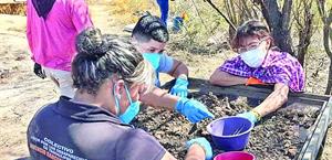 Alertan los Colectivos sobre enganches dirigidos a jóvenes