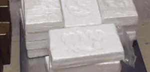 CBP incauta 16 kilos de cocaína