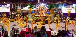 Van por formación de patronato para carnaval en zona sur