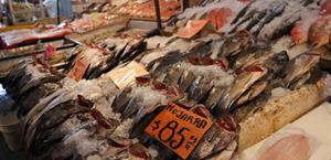 Inicia Coepris operativo especial de Cuaresma