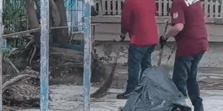 Reynosa Limpio lleva Humberto Prieto Herrera desmonte de predios en 5 colonias