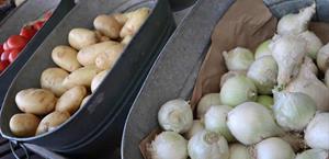 Central de Abastos sin afectaciones tras situación de riesgo