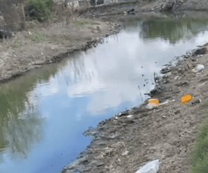 ¡El canal Rodhe al descubierto! Basura y riesgo para la salud en Reynosa