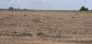 Agricultores en riesgo de perder sus tierras