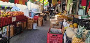 El ingreso no alcanza para cubrir lo básico