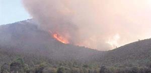 Mega incendio arrasa con 250 hectáreas en Miquihuana