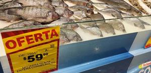 Van contra los abusos en venta de mariscos