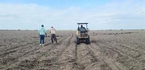 Llegan esta semana las ansiadas lluvias
