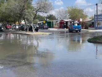 Pestilente fuga afecta al sustento de una familia
