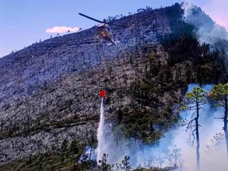 Incendio forestal en Miquihuana ha sido controlado en un 70%: PC