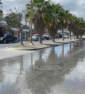 Denuncian otro brote de aguas negras en colonia