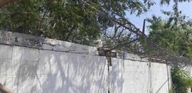 Alertan por barda peligrosa de púas