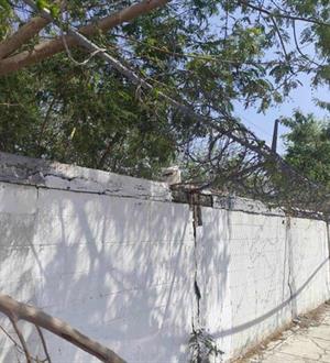 Alertan por barda peligrosa de púas