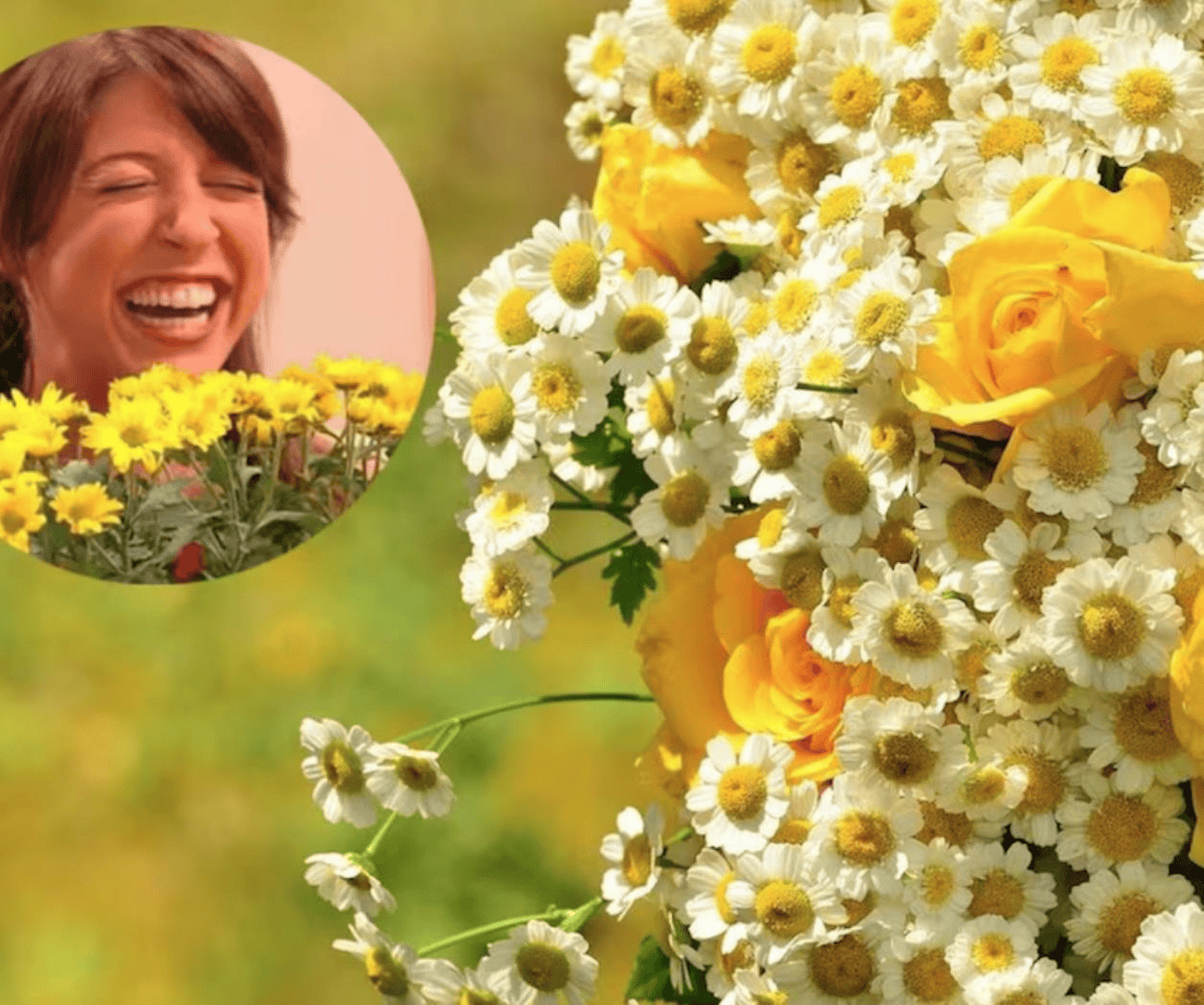¿Qué día se entregan las flores amarillas?
