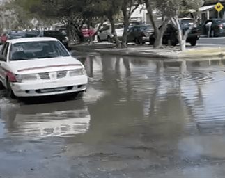 Estudiantes, comerciantes y familias sufren vivir entre aguas negras en Benito Juárez.