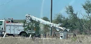 Realiza CFE reposición de postes y líneas