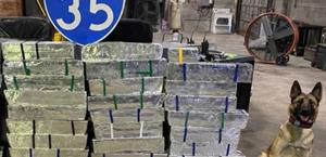 Decomisa DPS 500 libras de ‘meta’ en la autopista