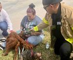 Salvan a mascotas de una en casa en llamas