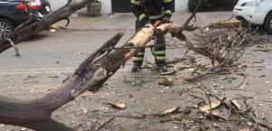 Alerta por ‘Norte’ fuerte e intenso