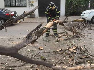Alerta por ‘Norte’ fuerte e intenso