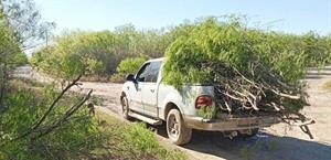 Avanzan trabajos de desmalezamiento en rutas rurales