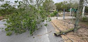 Árboles caídos y sectores sin luz en Matamoros