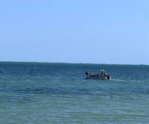 Norte paraliza pesca en altamar