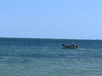 Norte paraliza pesca en altamar
