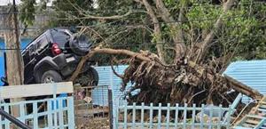 Paso del frente frío 41  deja destrozos y caos