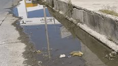 Fuga de agua en Aquiles Serdán lleva un año; vecinos exigen solución urgente a autoridades.">