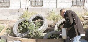 Alerta por dengue:  se registran nueve  casos en Matamoros