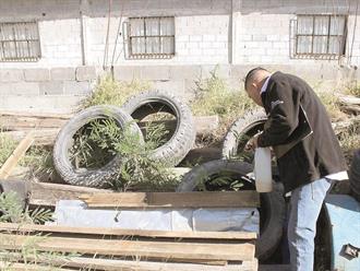 Alerta por dengue:  se registran nueve  casos en Matamoros
