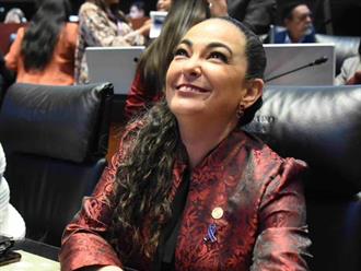 Respalda el Senado Plan B de Sheinbaum