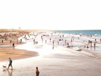 ‘Tolerancia cero a conductores ebrios