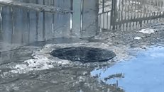 Fuga de aguas negras afecta calle en Aquiles Serdán y a decenas de familias">