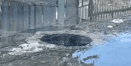 Fuga de aguas negras afecta calle en Aquiles Serdán y a decenas de familias