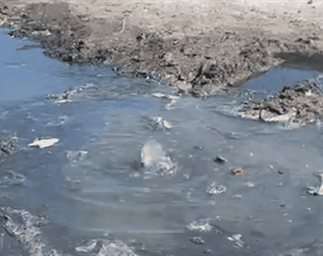 Fugas de aguas negras afectan a familias en Balcones de Alcalá por olores y contaminación