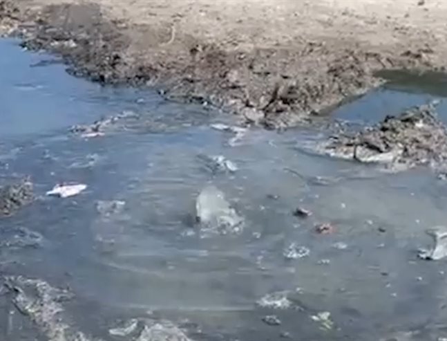 Fugas de aguas negras afectan a familias en Balcones de Alcalá por olores y contaminación