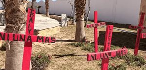 La presentación de una ley contra el feminicidio ¿crees que ayude a disminuir este delito?