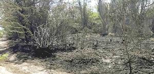 Controlan fuego en fábrica de cerámica en Reynosa